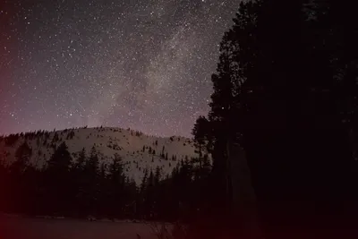 DSC_5982 (Large).JPG